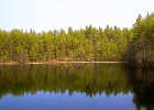 Brattforsheden