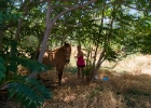 MG 7413 : Knossos, Kreta