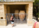 MG 7447 : Knossos, Kreta