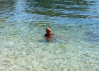 IMG 3072 : Semester 2007, Kroatien
