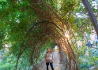 Parc Güell  Parc Güell är en park i Barcelona (Katalonien, Spanien), ritad och konstruerad av Antoni Gaudí tillsammans med hans assistent Josep Maria Jujol under åren 1900-1914.   Den var från början inte avsedd att bli en park utan var ett byggprojekt för ett bostadsområde med exklusiva tomter. Parken är väldigt stor och saknar motstycke med sina naturliga former, spiralformade torn, trappor och jättelika ödlor. Dessutom är mycket i parken fyllt med mosaik; Gaudí anställde ett stort arbetslag som fick till uppgift att slå sönder kakelplattor, tallrikar och glas för att sedan sätta samman dem igen. Detta förlöjligades av den samtida pressen, och en av stadens mest kända krönikörer beskrev sitt besök vid arbetsplatsen: "Jag ser 30 personer i full fart med att slå sönder kakelpattor samtidigt som jag ser 30 andra i full färd med att sätt samman dem igen, ta mig djävulen om jag förstår."   Det finns en jättelik terrass mitt i parken med en lång mosaikbekädd bänk vilken bland annat fungerat som inspirationskälla för Miró. Parken är relativt högt belägen och ger en bra överblick av staden. Antoni Gaudís bostad där han levde mellan 1905 och 1926 finns även i parken. Eusebi Güell som startade projektet överlät området till staden efter att ha misslyckats med att sälja de tomter han erbjöd. : Barcelona, Parc Güell