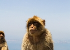 MG 6838 : Gibraltar