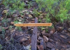 MG 4511  Norske plassen : Gran canaria