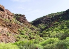 MG 4512  på väg mot Norske plassen : Gran canaria