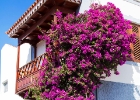 MG 4618  Tejeda : Gran canaria