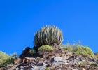 MG 4840 : Gran canaria