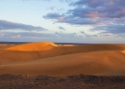 MG 4891  Maspaolomas : Gran canaria