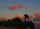 MG 4928 : Gran canaria