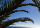 MG 3218 : Gran canaria, Maspalomas
