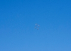 IMG 6699  Flyguppvisning : Flyg, Flygplan, la manga, lamanga