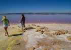 MG 4727 : Laguna Rosa, Laguna de Torrevieja, Resor, Spanien, Torrevieja