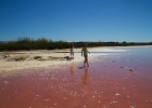 MG 4730 : Laguna Rosa, Laguna de Torrevieja, Resor, Spanien, Torrevieja