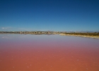 MG 4732 : Laguna Rosa, Laguna de Torrevieja, Resor, Spanien, Torrevieja