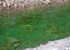 IMG 0457 : Bad Gastien 2012